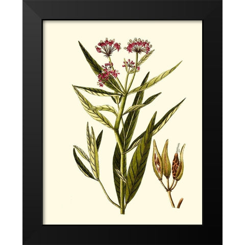 Olive Greenery VIII Black Modern Wood Framed Art Print by Unknown