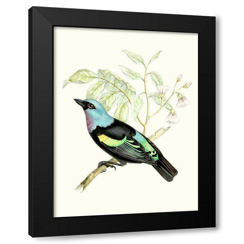 On Perch X Black Modern Wood Framed Art Print by Unknown