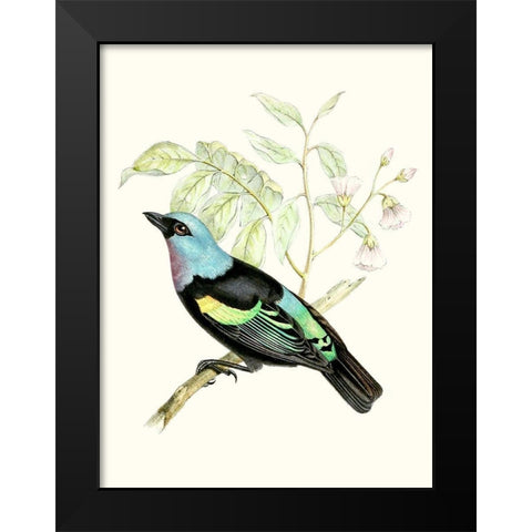 On Perch X Black Modern Wood Framed Art Print by Unknown