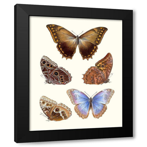Violet Butterflies I Black Modern Wood Framed Art Print by Unknown
