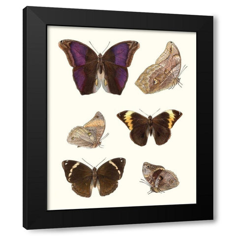 Violet Butterflies II Black Modern Wood Framed Art Print by Unknown