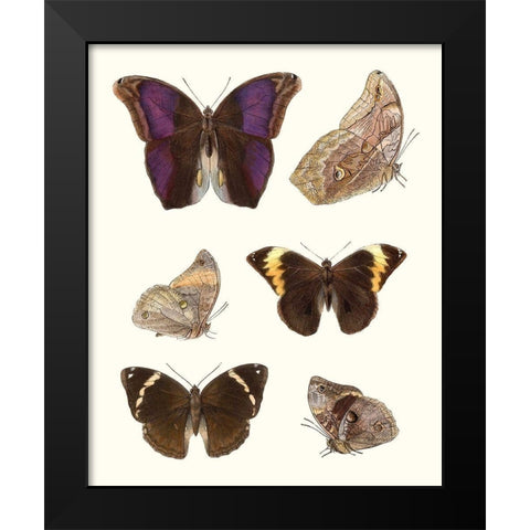Violet Butterflies II Black Modern Wood Framed Art Print by Unknown