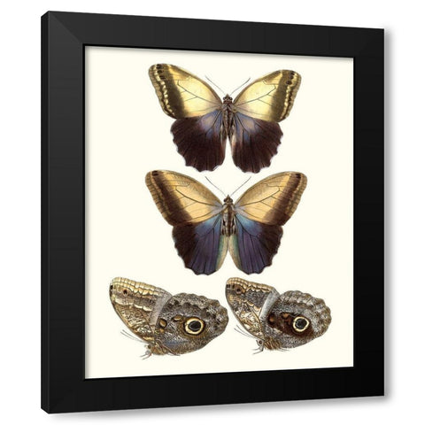 Violet Butterflies III Black Modern Wood Framed Art Print by Unknown