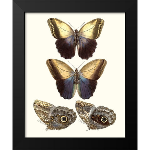 Violet Butterflies III Black Modern Wood Framed Art Print by Unknown