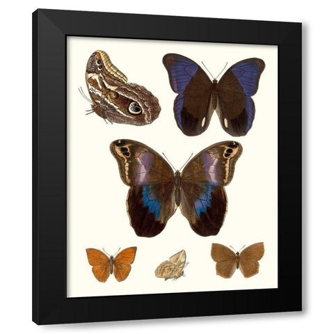 Violet Butterflies IV Black Modern Wood Framed Art Print with Double Matting by Unknown