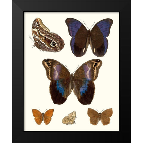 Violet Butterflies IV Black Modern Wood Framed Art Print by Unknown