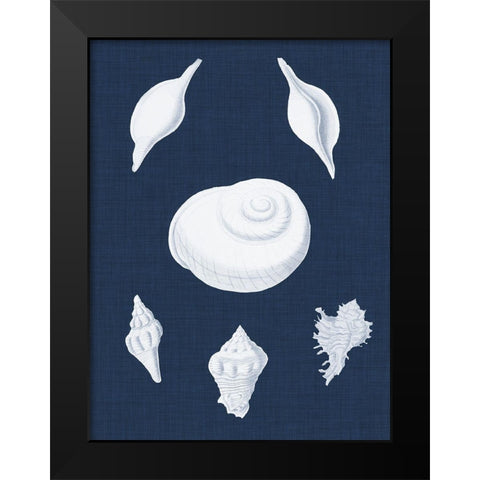 Coquillages Blancs IV Black Modern Wood Framed Art Print by Vision Studio