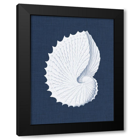 Coquillages Blancs V Black Modern Wood Framed Art Print with Double Matting by Vision Studio