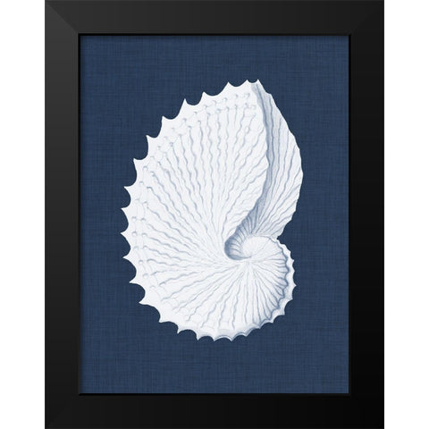 Coquillages Blancs V Black Modern Wood Framed Art Print by Vision Studio