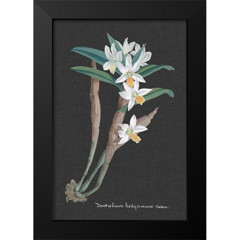 Orchid on Slate I Black Modern Wood Framed Art Print by Vision Studio