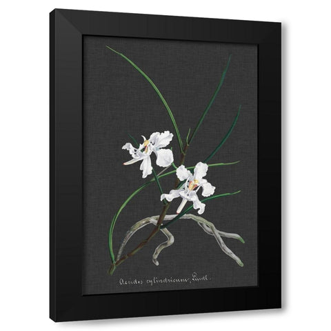 Orchid on Slate II Black Modern Wood Framed Art Print with Double Matting by Vision Studio