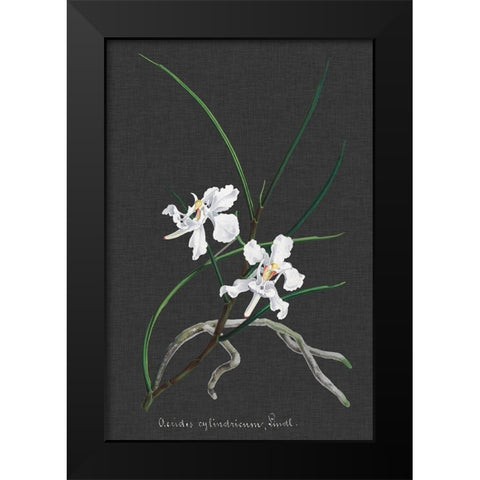 Orchid on Slate II Black Modern Wood Framed Art Print by Vision Studio