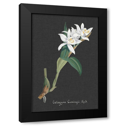 Orchid on Slate III Black Modern Wood Framed Art Print with Double Matting by Vision Studio
