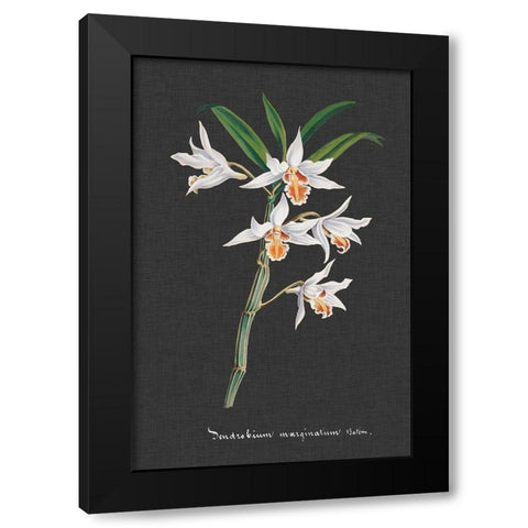 Orchid on Slate IV Black Modern Wood Framed Art Print with Double Matting by Vision Studio