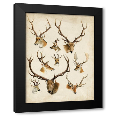 Western Animal Species II Black Modern Wood Framed Art Print with Double Matting by Unknown