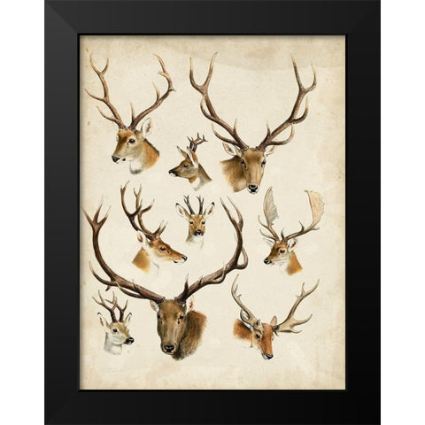 Western Animal Species II Black Modern Wood Framed Art Print by Unknown