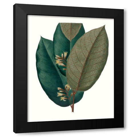 Fall Foliage I Black Modern Wood Framed Art Print with Double Matting by Unknown