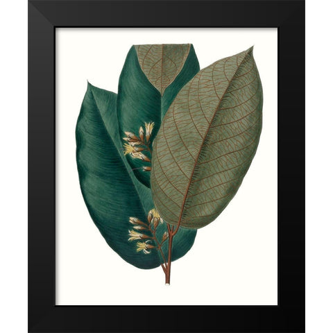 Fall Foliage I Black Modern Wood Framed Art Print by Unknown
