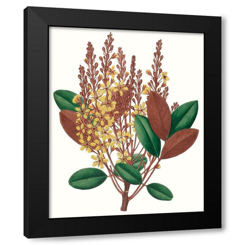 Fall Foliage II Black Modern Wood Framed Art Print with Double Matting by Unknown