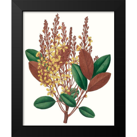 Fall Foliage II Black Modern Wood Framed Art Print by Unknown