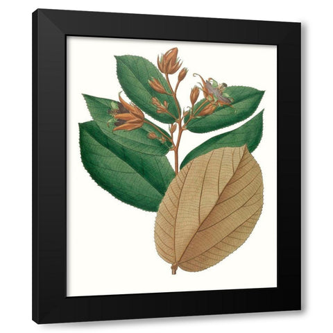 Fall Foliage III Black Modern Wood Framed Art Print with Double Matting by Unknown
