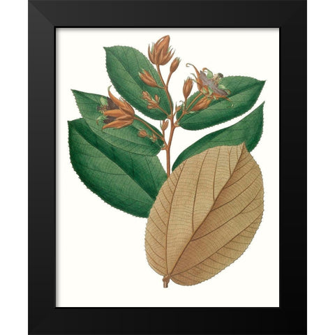 Fall Foliage III Black Modern Wood Framed Art Print by Unknown