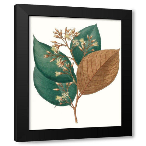 Fall Foliage V Black Modern Wood Framed Art Print with Double Matting by Unknown