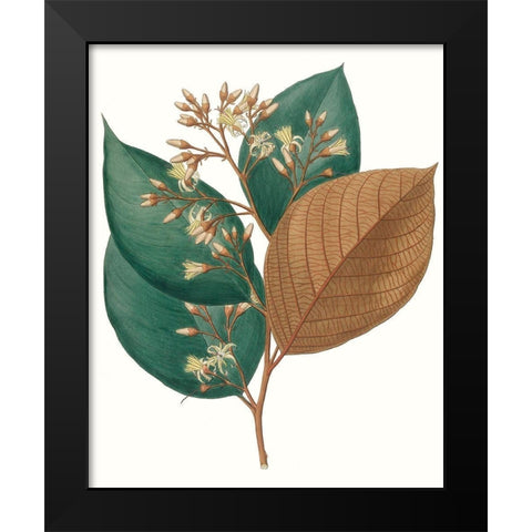 Fall Foliage V Black Modern Wood Framed Art Print by Unknown