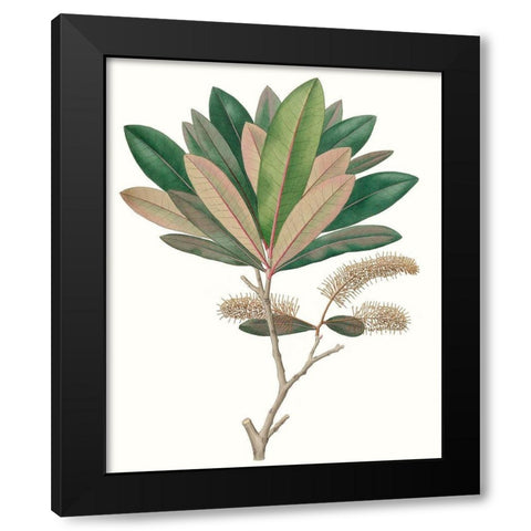 Fall Foliage VI Black Modern Wood Framed Art Print with Double Matting by Unknown
