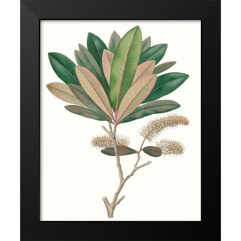 Fall Foliage VI Black Modern Wood Framed Art Print by Unknown