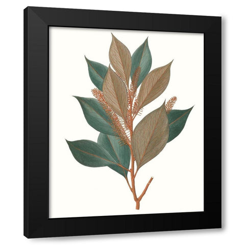 Fall Foliage VII Black Modern Wood Framed Art Print with Double Matting by Unknown