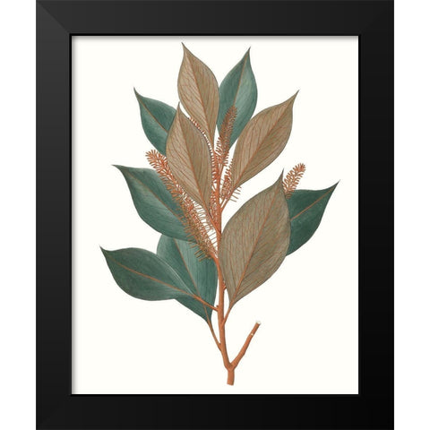 Fall Foliage VII Black Modern Wood Framed Art Print by Unknown