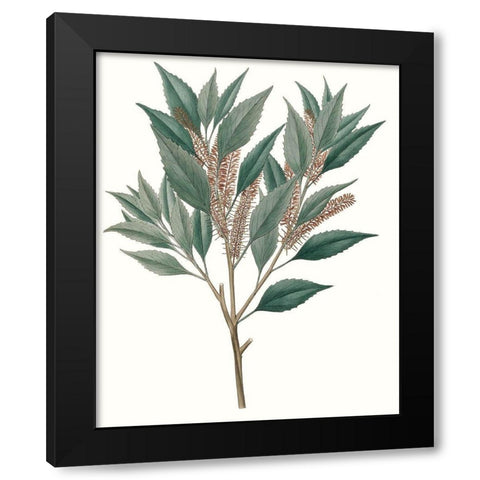 Fall Foliage VIII Black Modern Wood Framed Art Print with Double Matting by Unknown