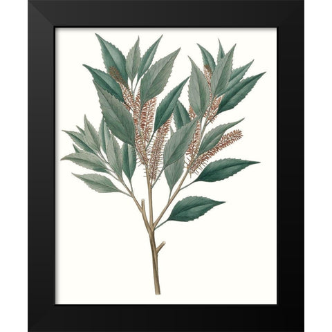 Fall Foliage VIII Black Modern Wood Framed Art Print by Unknown