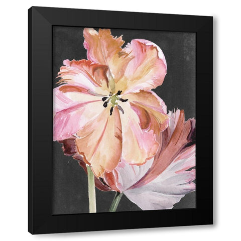Pastel Parrot Tulips II Black Modern Wood Framed Art Print by Parker, Jennifer Paxton