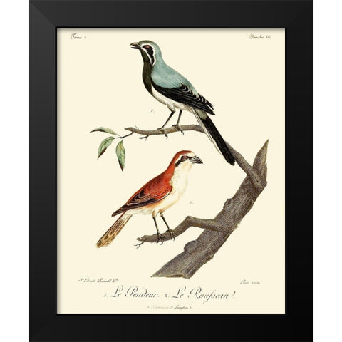 Vintage French Birds II Black Modern Wood Framed Art Print by de Langlois