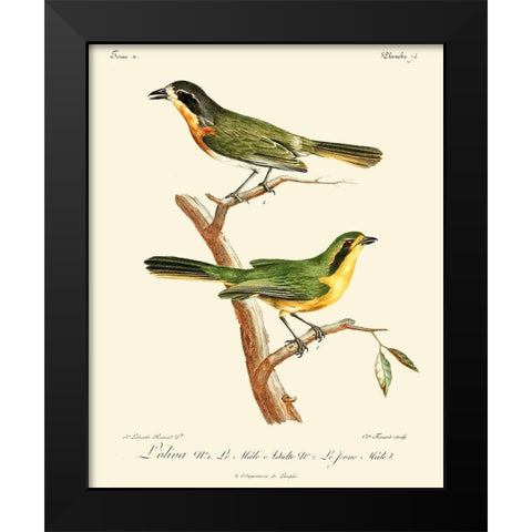 Vintage French Birds VI Black Modern Wood Framed Art Print by de Langlois