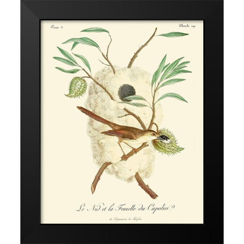 Vintage French Birds VII Black Modern Wood Framed Art Print by de Langlois