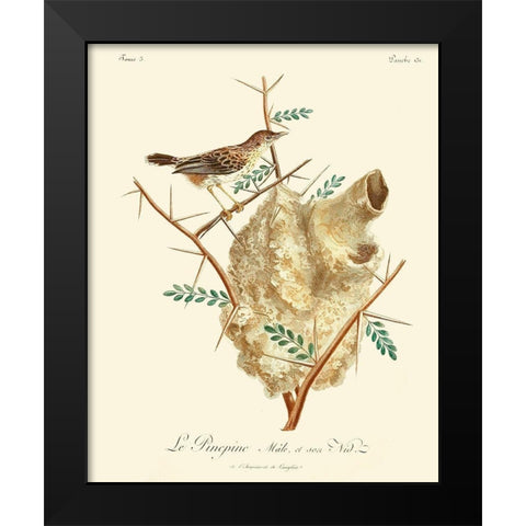 Vintage French Birds VIII Black Modern Wood Framed Art Print by de Langlois