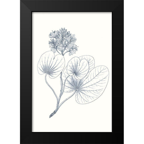 Indigo Botany Study IV Black Modern Wood Framed Art Print by Vision Studio