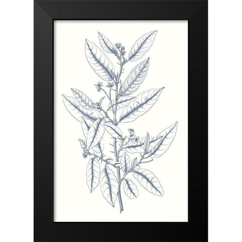 Indigo Botany Study V Black Modern Wood Framed Art Print by Vision Studio