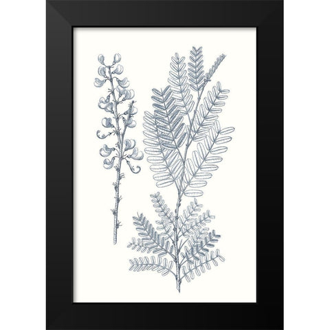 Indigo Botany Study VII Black Modern Wood Framed Art Print by Vision Studio