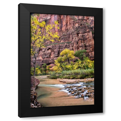 Zion Autumn II Black Modern Wood Framed Art Print with Double Matting by Head, Danny