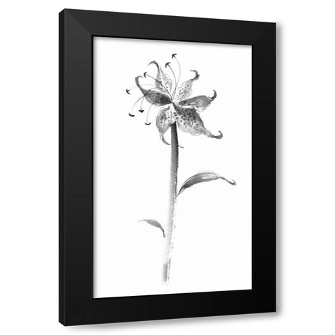 Ink Tiger Lily Black Modern Wood Framed Art Print by Rae, Nan
