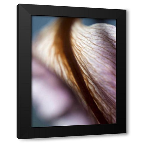 Lily Dusk II Black Modern Wood Framed Art Print with Double Matting by Nourock, Jonathan