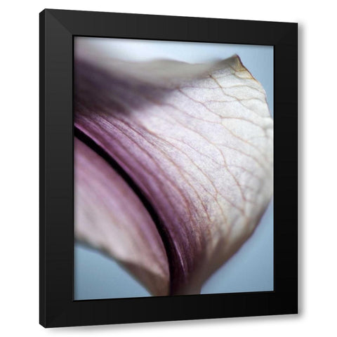Lily Dusk III Black Modern Wood Framed Art Print with Double Matting by Nourock, Jonathan