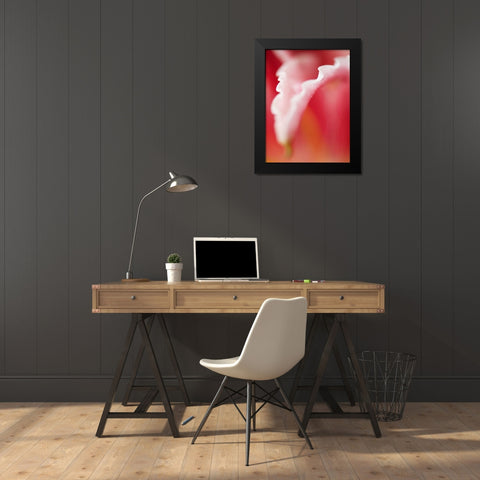 Macro Tulip I Black Modern Wood Framed Art Print by Nourock, Jonathan