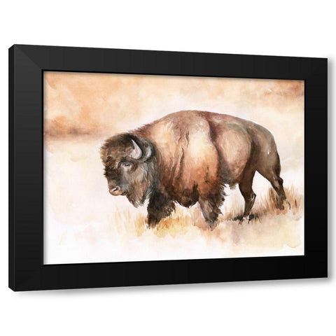 Buffalo Roam I Black Modern Wood Framed Art Print by Parker, Jennifer Paxton
