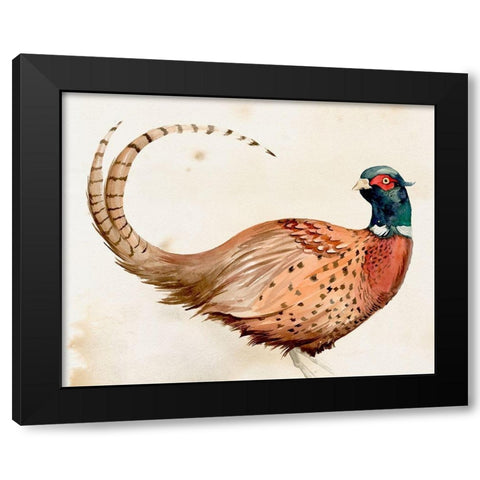 Pheasantry I Black Modern Wood Framed Art Print by Parker, Jennifer Paxton