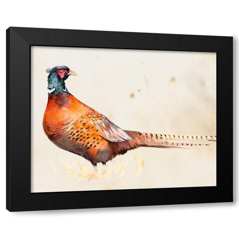 Pheasantry II Black Modern Wood Framed Art Print by Parker, Jennifer Paxton
